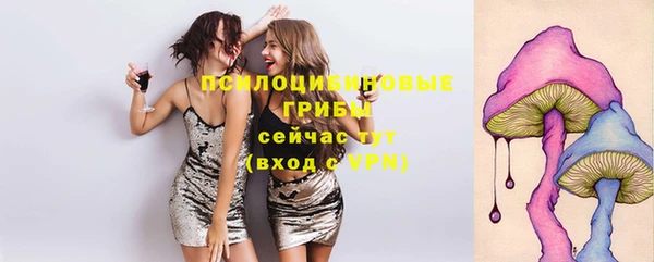меф Алексин