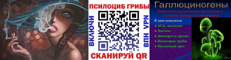 Псилоцибиновые грибы Psilocybine cubensis Абдулино